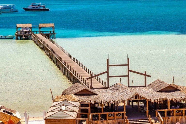 Hurghada: viaje de 3 días a la isla naranja, safari y casa de los delfinesDesde la bahía de Soma, Safaga y El Gouna