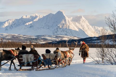 Tromsø: Slitta trainata da renne Sámi e tour culturale Sami