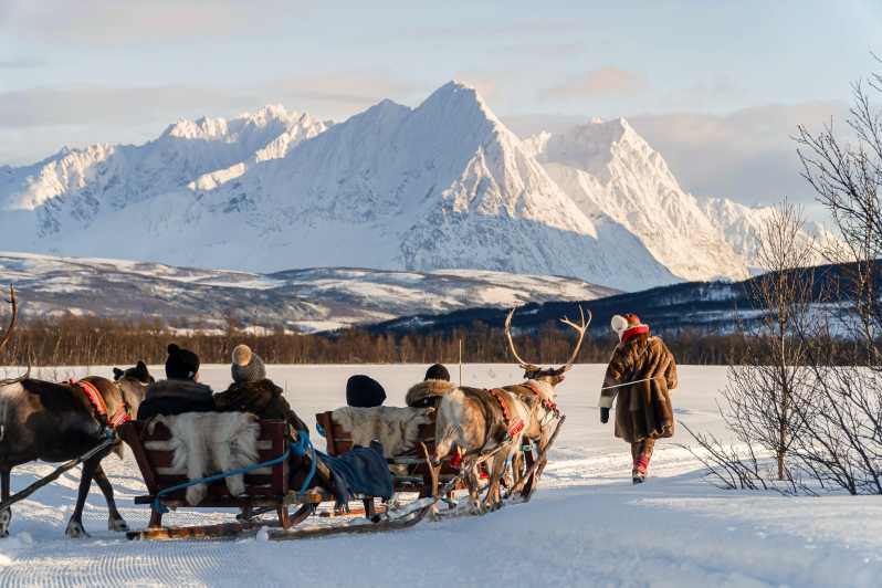 Tromsø: Sámi rendiersleeën en Sami culturele tour
