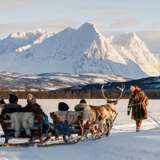 Tromsø: Samisk rensdyrslædekørsel og samisk kulturtur
