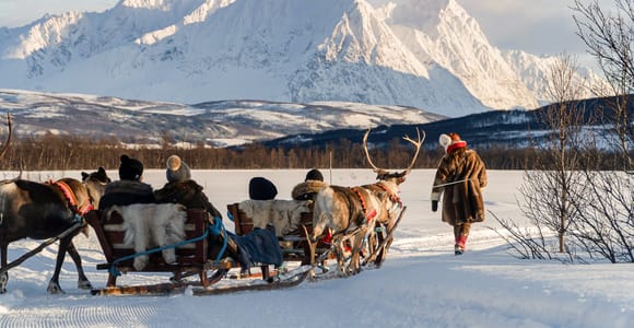 Tromsø: Reindeer Sledding and Sami Cultural Tour with Lunch