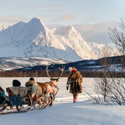 Tromsø: Reindeer Sledding and Sami Cultural Tour with Lunch