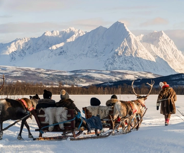 Tromsø: Sámi Reindeer Sledding and Sami Cultural Tour