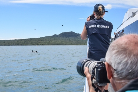 Auckland: Walvissen en dolfijnen kijken halve dag Eco Cruise13:30 uur Walvis- en dolfijncruise