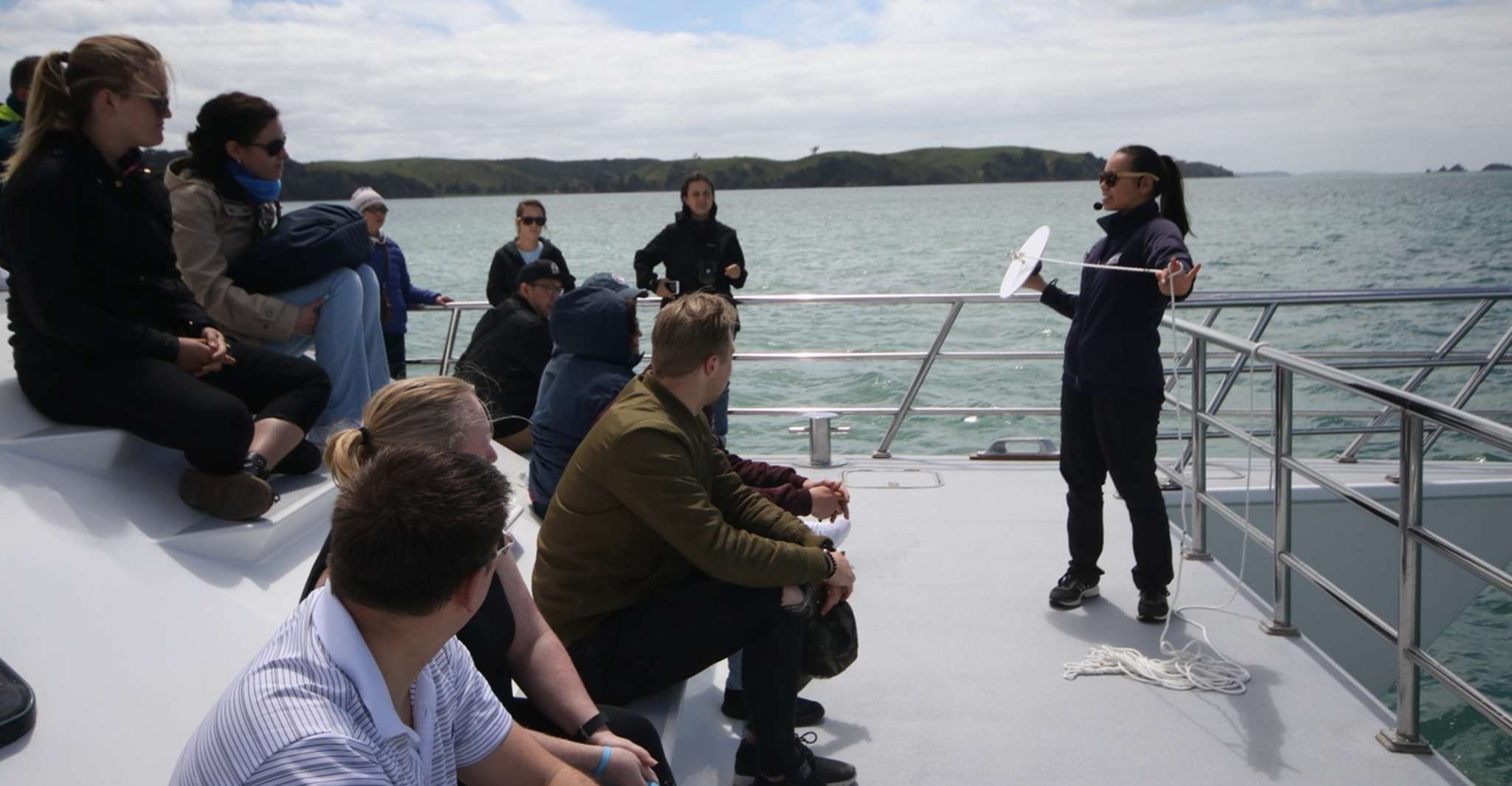 Auckland, Whale and Dolphin Watching Half-Day Eco Cruise - Housity