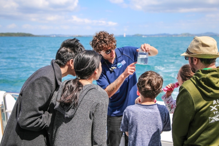 Auckland : Croisière d'observation des baleines et des dauphins d'une demi-journée (Eco Cruise)10h30 Croisière d'observation des baleines et des dauphins