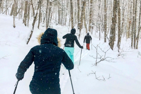 Quebec: en raquetas de nieve por el parque Jacques-Cartier