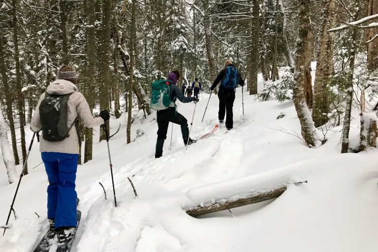Parc national de la Jacques-Cartier : Excursion en skiParc national de la Jacques-Cartier : Excursion en raquettes à neige