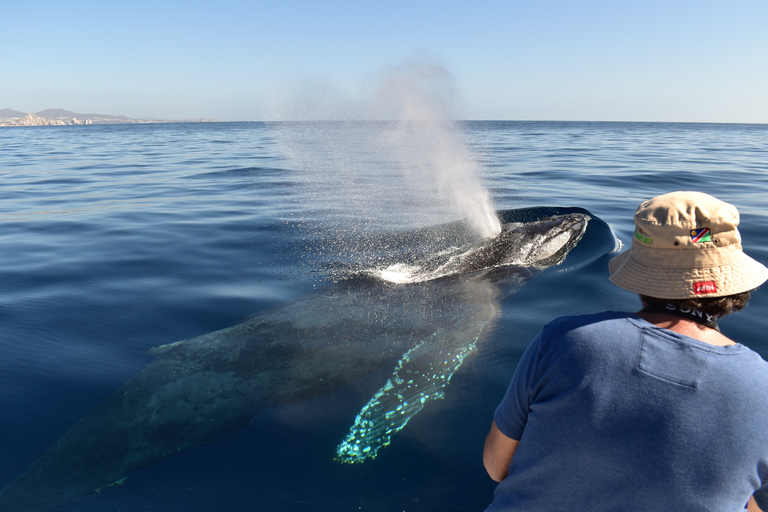 Cabo: Whale-Whatching Boat Trip w/ All-Women Crew and Photos