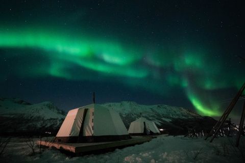 Tromsø: Nocna wycieczka do Lavvo z reniferowymi zaprzęgami