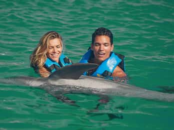Puerto Aventuras : incroyable rencontre avec les dauphins avec déjeuner
