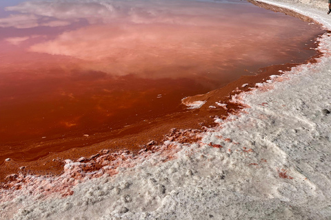 Walvis Bay: 4-Day Desert, Ocean, and Adventure Tour