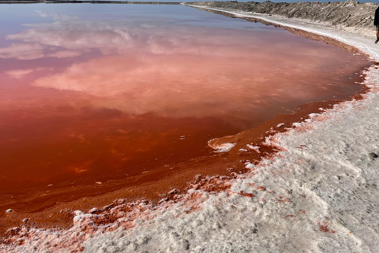 Walvis Bay: 4-Day Desert, Ocean, and Adventure Tour