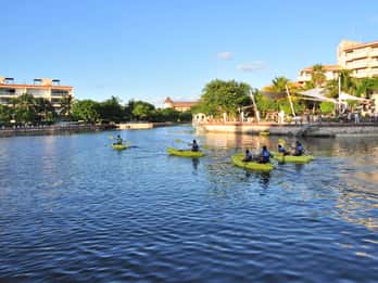 Puerto Aventuras: Dolphin Royal Swim & Kayak avec buffet
