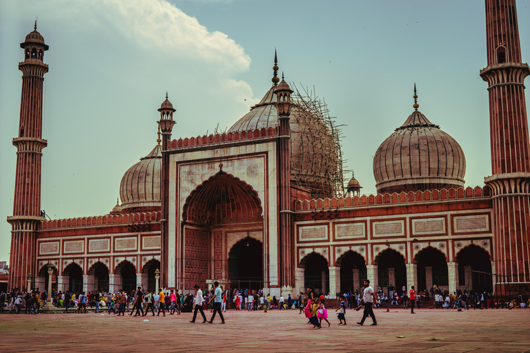 Old Delhi: Old Delhi City Tour with Rickshaw &amp; Street Food