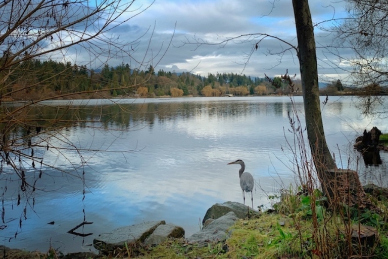 Vancouver: Stanley Park smartphone-audiotour