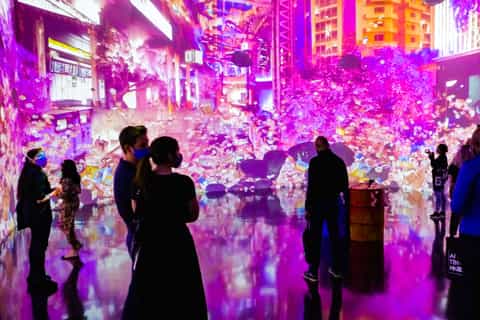 Miami: ARTECHOUSE Immersive Art Experience Entrance Ticket