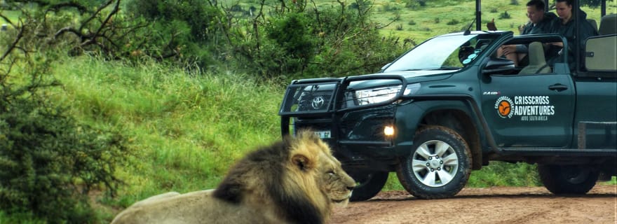 Parc national des éléphants d'Addo : Journée complète de safari avec déjeuner