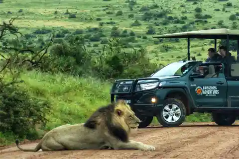 Addo Elephant National Park: Full-Day Safari Tour with Lunch