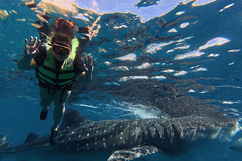 Cebu : Oslob Whaleshark Watching Canyoneering private pick up