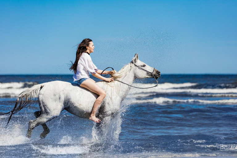 Essaouira: 1.5-Hour Horse Ride & Swim Experience with Photos