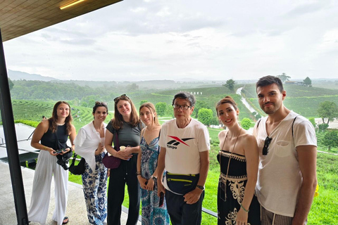 Chiang Rai:Guided Highlights Full-Day Tour-FREE LUNCH BUFFET Experience the Wonders of Chiang Rai with Free Thai Buffet