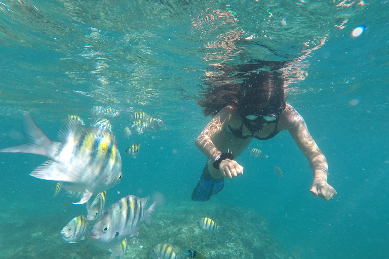 Desde Punta Cana: excursión de un día en catamarán a la isla Catalina