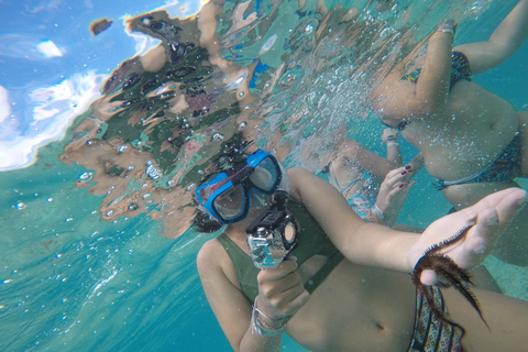 Desde Punta Cana: excursión de un día en catamarán a la isla Catalina