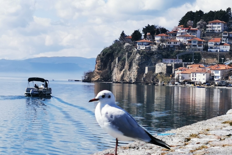 Skopje: Transfer nach Tirana mit Halbtagestour von Ohrid