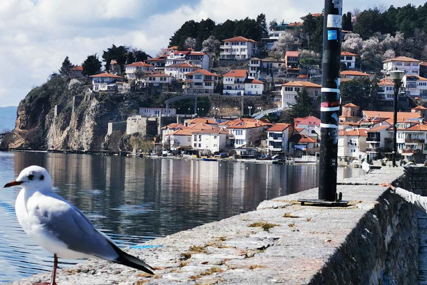 Upplifðu Skopje: Ferð til Tírana með stuttu Ohrid stoppi