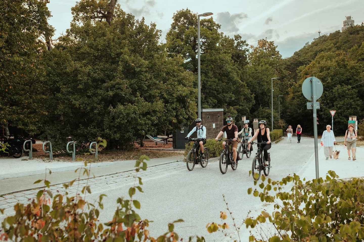 Picos de Budapest: Tour en eBike Todo Terreno