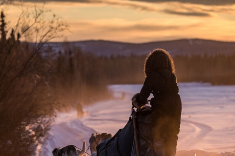 Fairbanks: Mush op de historische Yukon Quest Trail