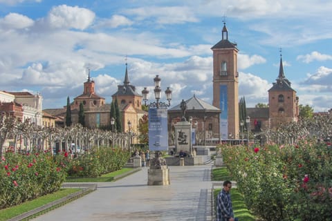 From Madrid: Private Day Trip to Alcalá de Henares