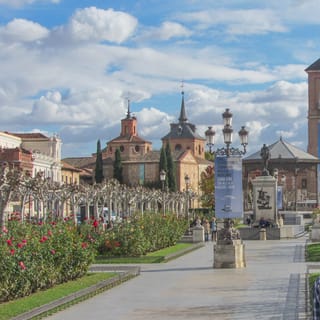 From Madrid: Private Day Trip to Alcalá de Henares