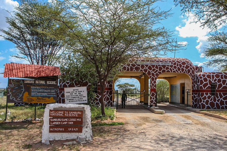 3 Dagen Safari in Samburu, Buffelsbronnen en Shaba Reservaat