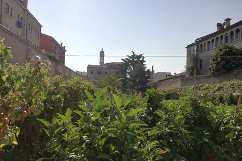 Venise : visite à pied des jardins secrets de la ville