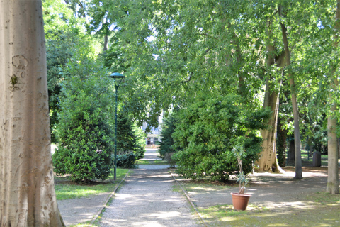 Venise : visite à pied des jardins secrets de la ville