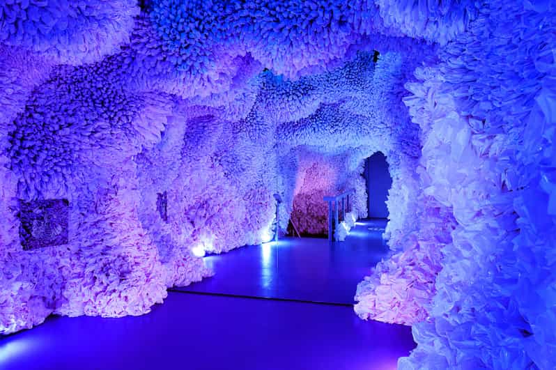 NYC Arcadia Earth Ticket GetYourGuide