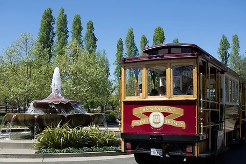 Napa Valley: Tour di degustazione del vino con carrello all'aperto e pranzo