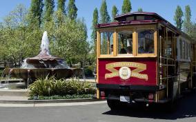 Napa Valley: Wine Tasting Tour by Open Air Trolley & Lunch