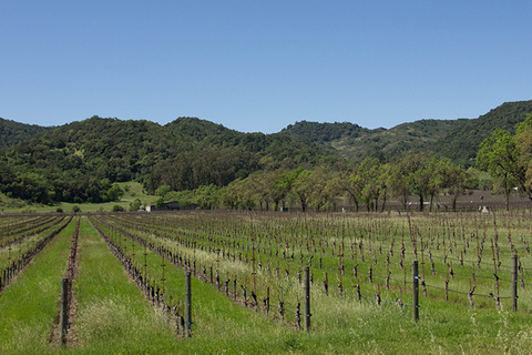 Napa Valley: Wine Tasting Tour by Open Air Trolley &amp; Lunch