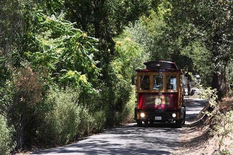 Sonoma Valley: Wine Trolley Tasting Tour with Lunch