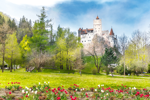 Bucareste: Visita guiada ao Castelo do Drácula, Castelo de Peles e BrasovVisita guiada em espanhol