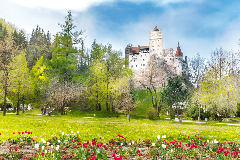 Bucarest : Château de Dracula, château de Peles et visite guidée de BrasovVisite guidée en espagnol