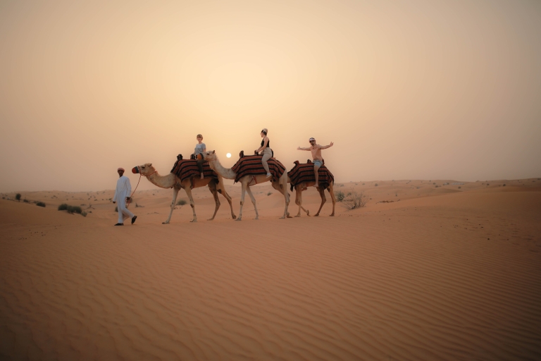 Dubai: Evening Safari & Camel Caravan at Al Marmoom Oasis Exclusive Car