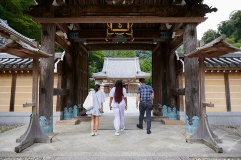 Osaka: Wandeltocht met gids naar Minoo waterval - 2,5uOsaka: 2,5 uur wandelen in Minoh