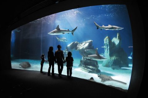Genua: toegangsticket Aquarium van Genua met snack