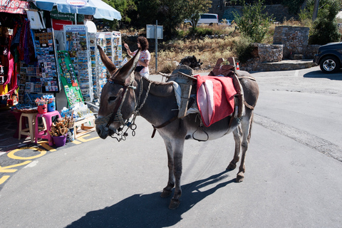 From Heraklion: Knossos and Lasithi Plateau Full-Day TourDay Trip: Pickup from Heraklion and Ammoudara