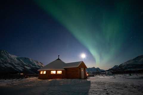 Tromsø: Reindeer Feeding and Meal with Northern Lights