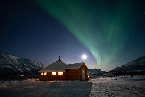 Tromso: Trineo de renos con posibilidad de ver auroras boreales